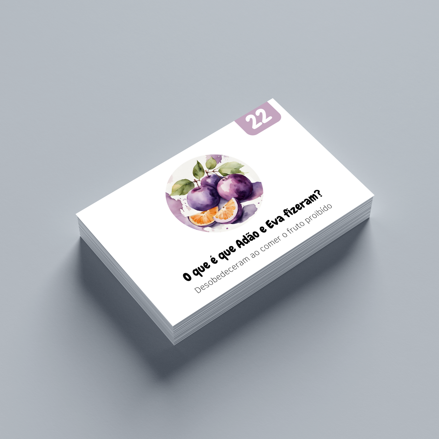 O meu primeiro Catecismo (2ª Edição)